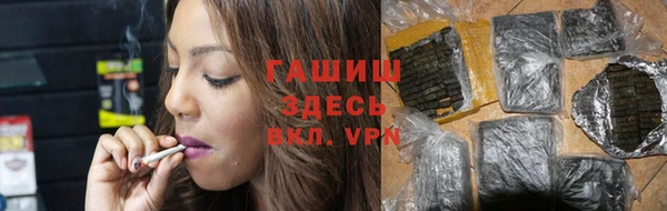 прущие грибы Алзамай