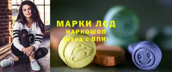 прущие грибы Алзамай