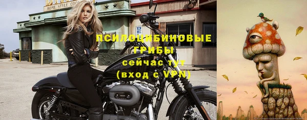 спайс Алексеевка