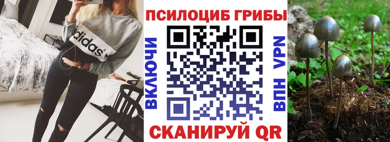 магазин    Спасск  Псилоцибиновые грибы GOLDEN TEACHER 